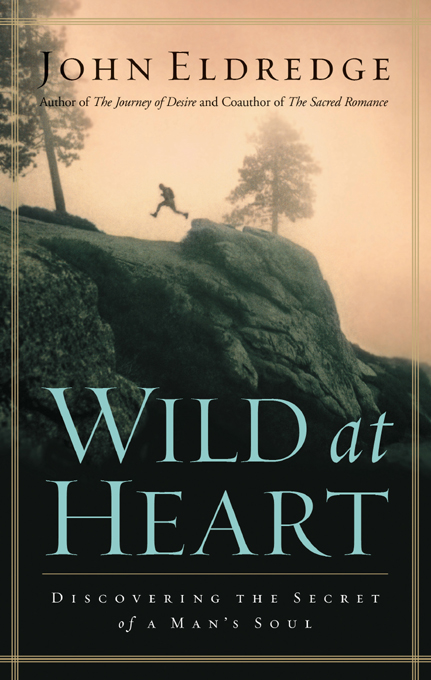 Cover image for Wild at Heart